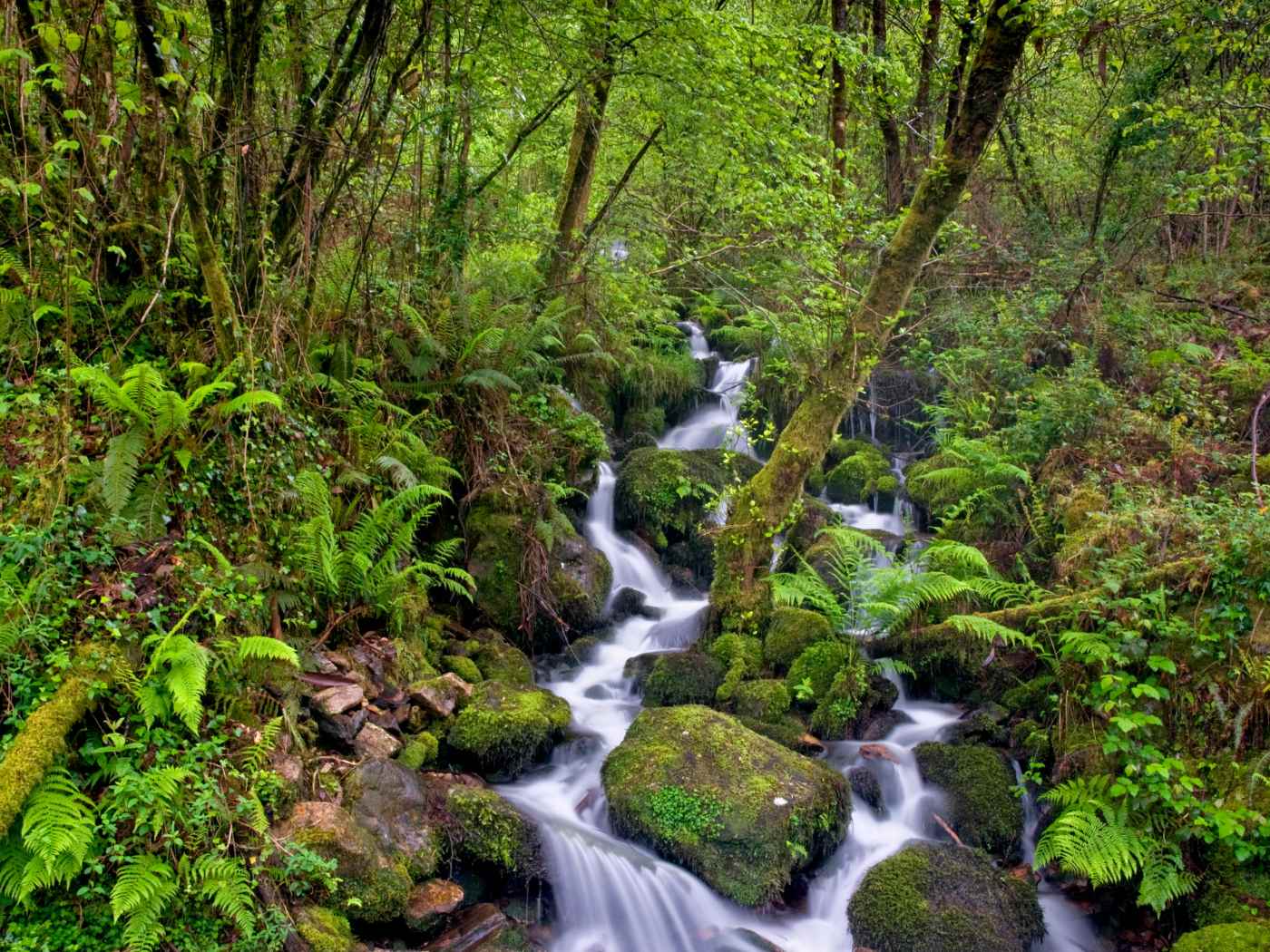 Qué ver en A Guarda, Pontevedra